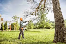 Best Hazardous Tree Removal  in San Andreas, CA
