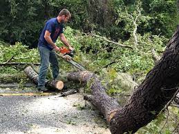 Best Aeration Services  in San Andreas, CA